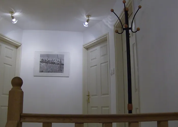 Csapd Le Csacsi Vendeghaz 게스트하우스 페치