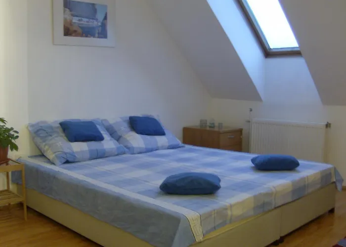 Csapd Le Csacsi Vendeghaz 게스트하우스 페치